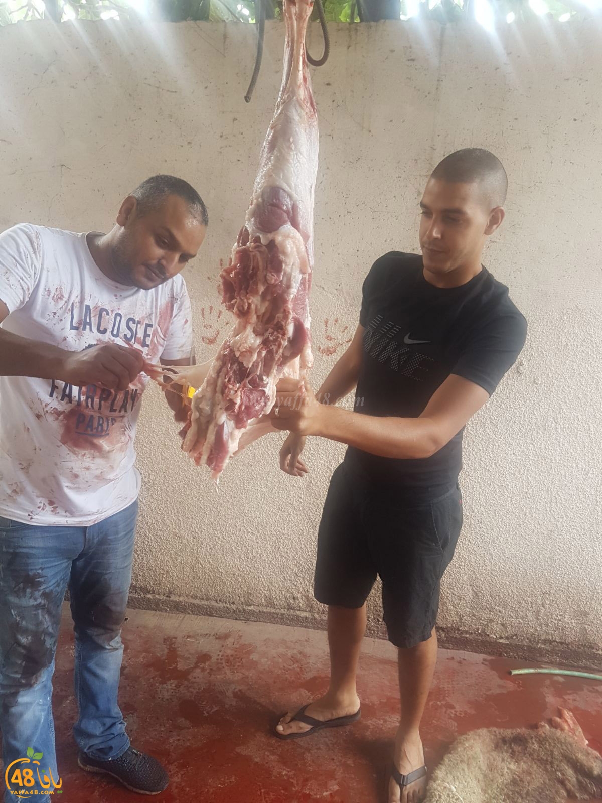 dab7 ada7y wu3ed (12).jpg